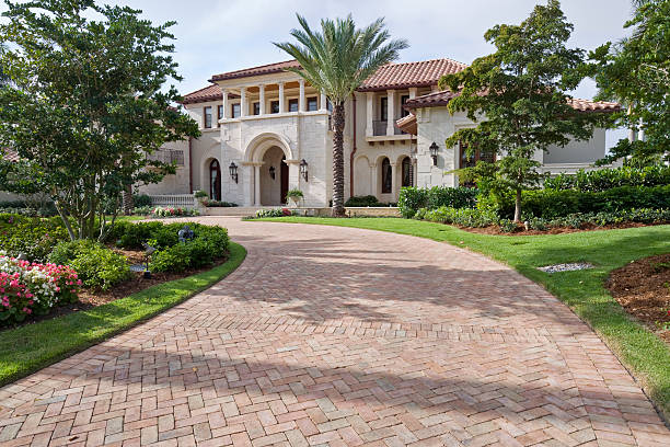 Best Driveway Paving Contractor  in Pine Level, NC